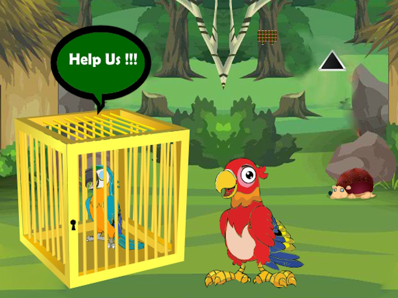 Žaidimas Išleisti įstrigusį „Macaw“ bičiulį internete