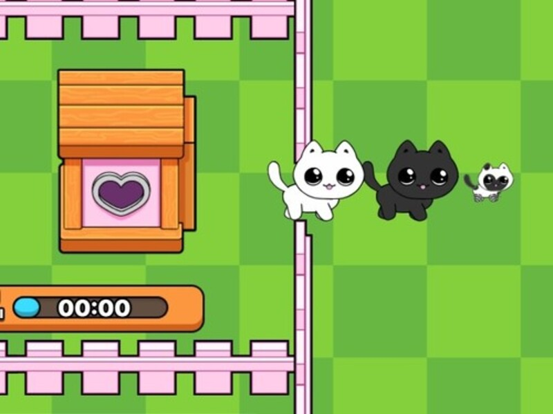 Žaidimas Mano kačiukai. Catworld internete