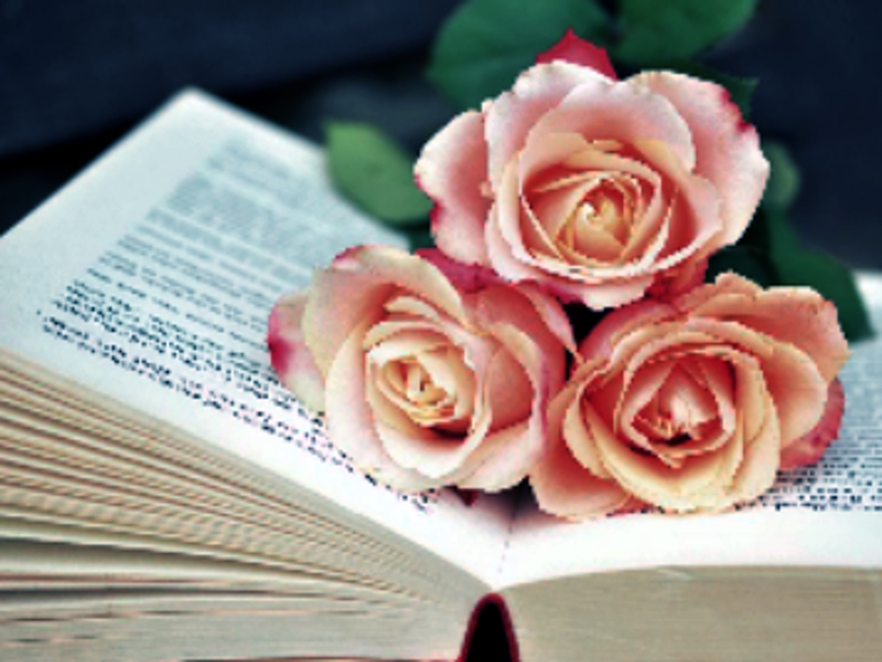 Žaidimas „Blooms“ knyga Jigsaw internete