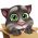 Agility  internete