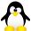 Pingvinai Pingvinai internete