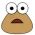 Pou Pou internete