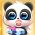 Mažoji panda  internete